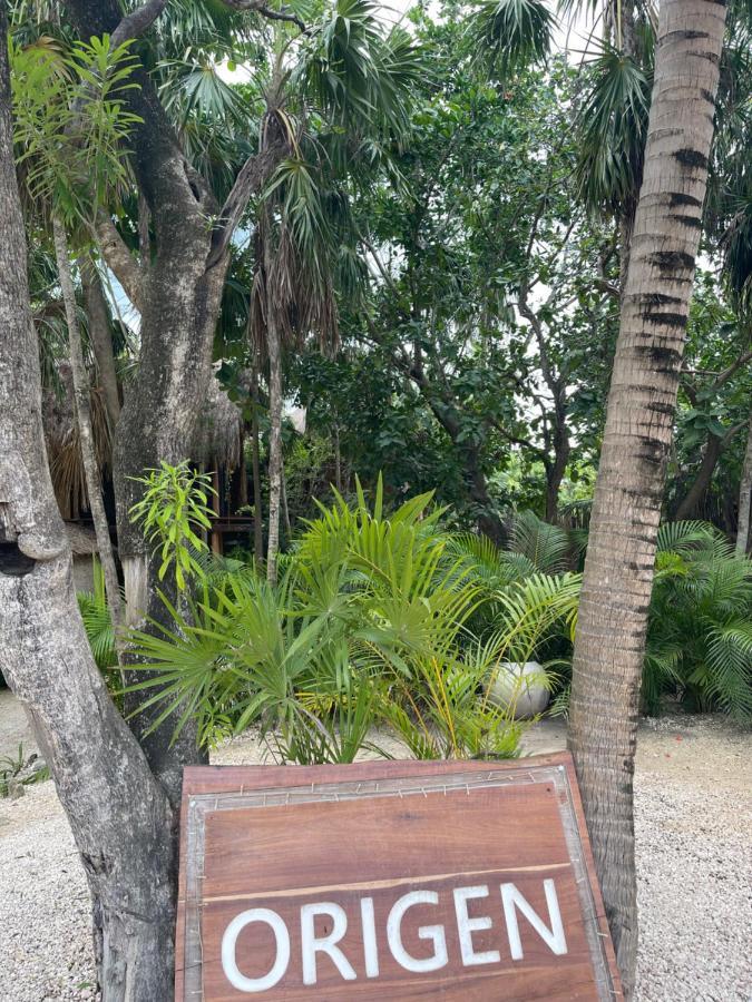 Origen Tulum Ξενοδοχείο Εξωτερικό φωτογραφία